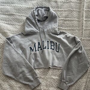 Brandy Melville Gray Malibu Hoodie
